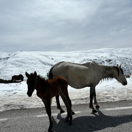 Biznaga Nevada Daire Granada Dış mekan fotoğraf