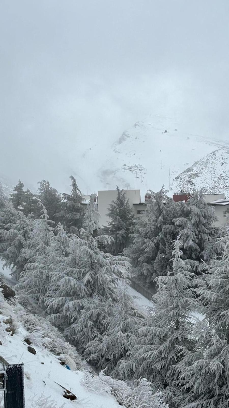 Biznaga Nevada Daire Granada Dış mekan fotoğraf