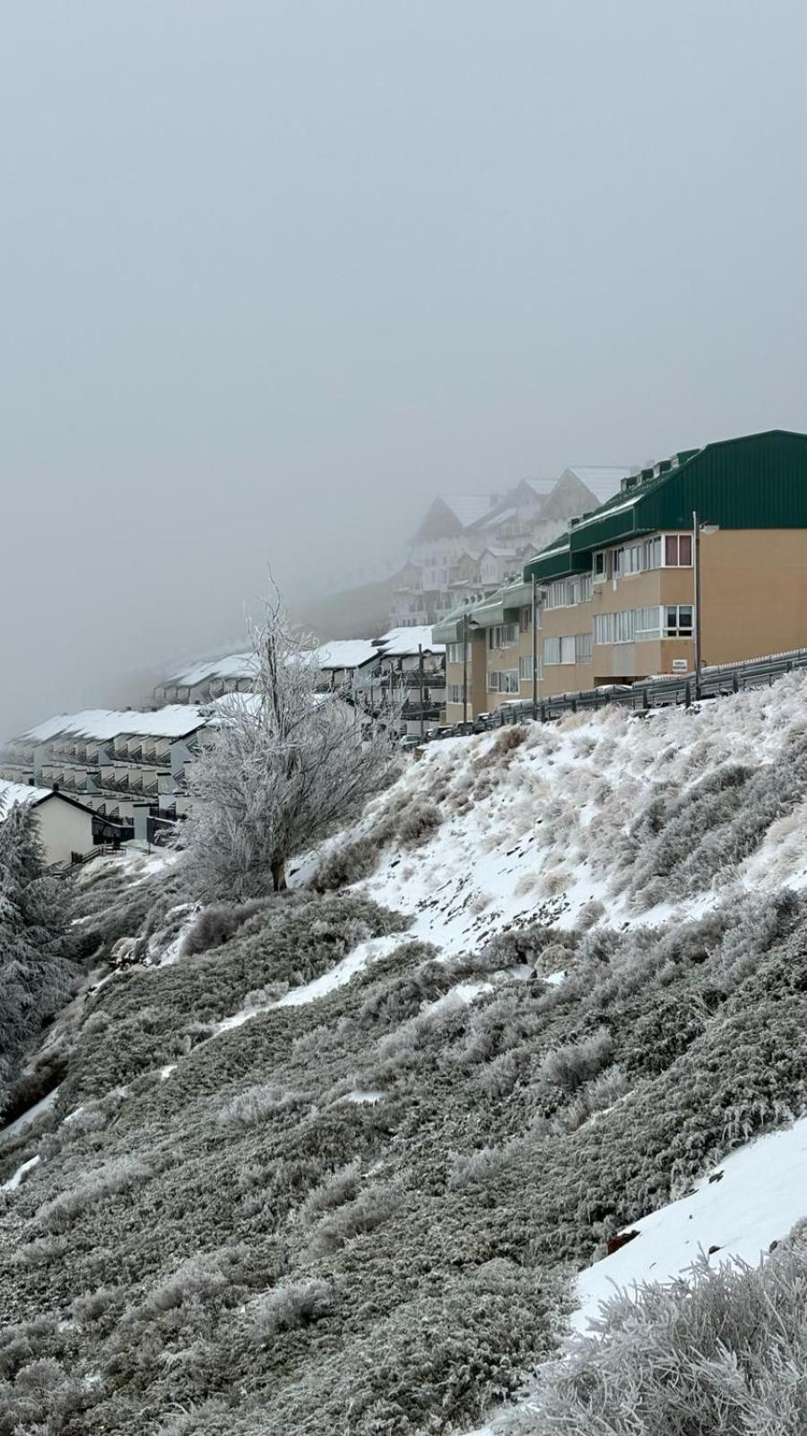 Biznaga Nevada Daire Granada Dış mekan fotoğraf
