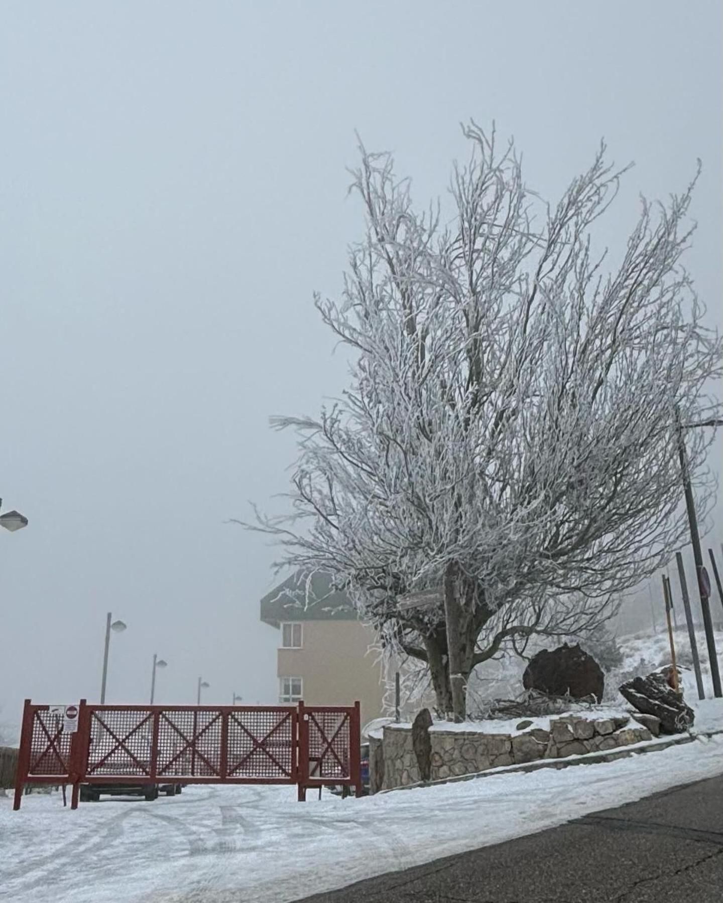 Biznaga Nevada Daire Granada Dış mekan fotoğraf