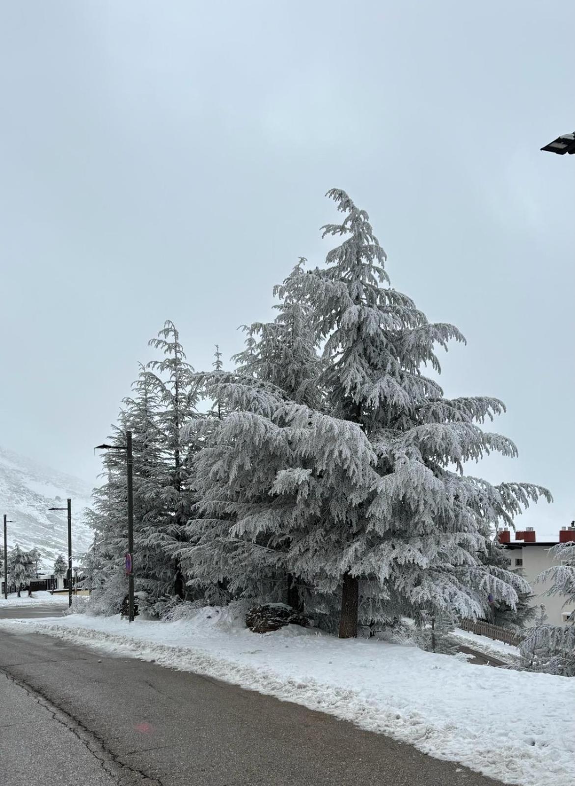 Biznaga Nevada Daire Granada Dış mekan fotoğraf