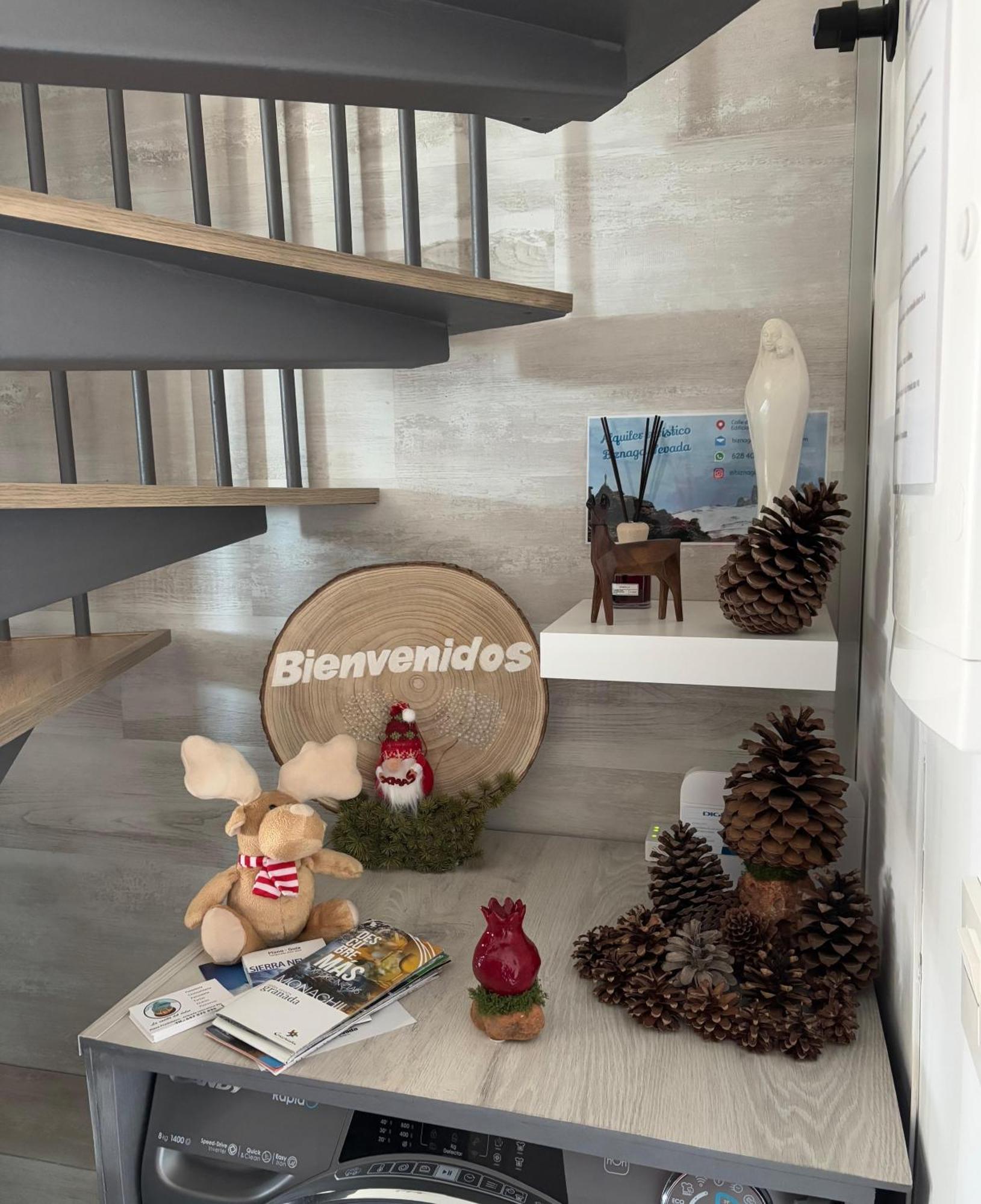 Biznaga Nevada Daire Granada Dış mekan fotoğraf