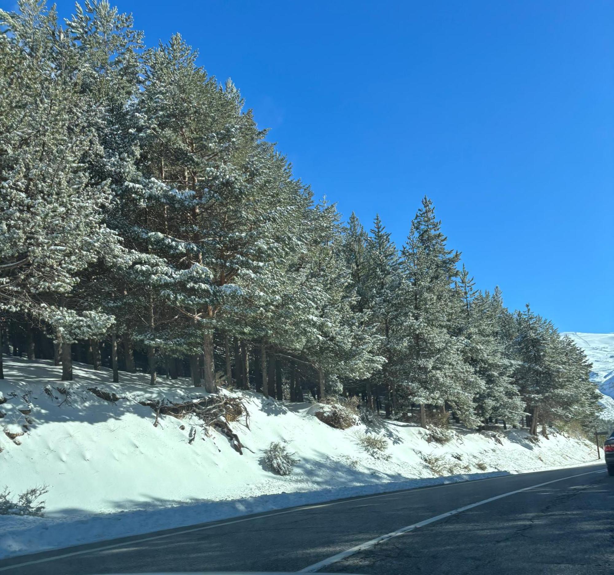 Biznaga Nevada Daire Granada Dış mekan fotoğraf